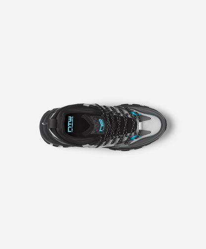 M1 LXR ICE